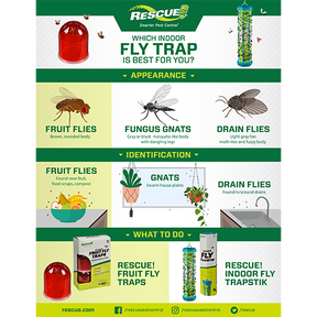 Rescue - Reusable Fruit Fly Trap