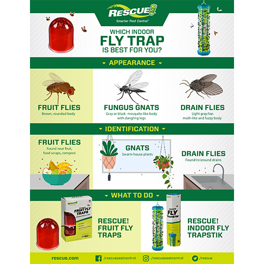 Rescue - Reusable Fruit Fly Trap