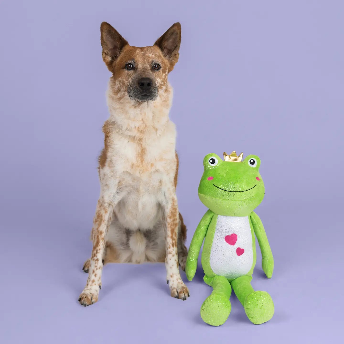 Petshop by Fringe Studio - Dog Toy Hop Into My Life