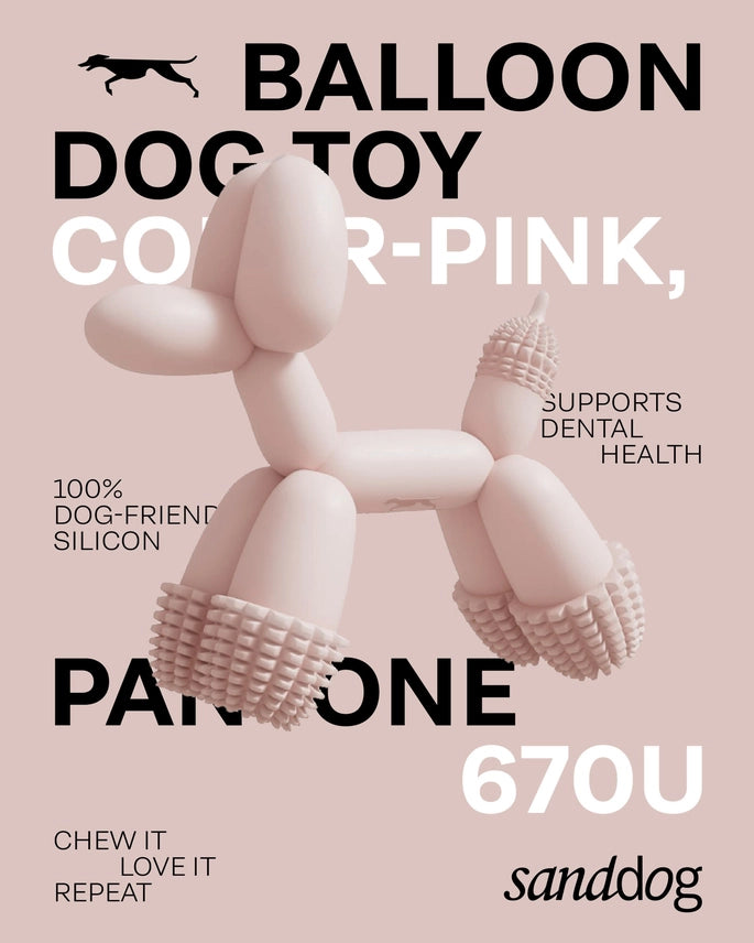 SANDDOG - Art Balloon Dog Toy