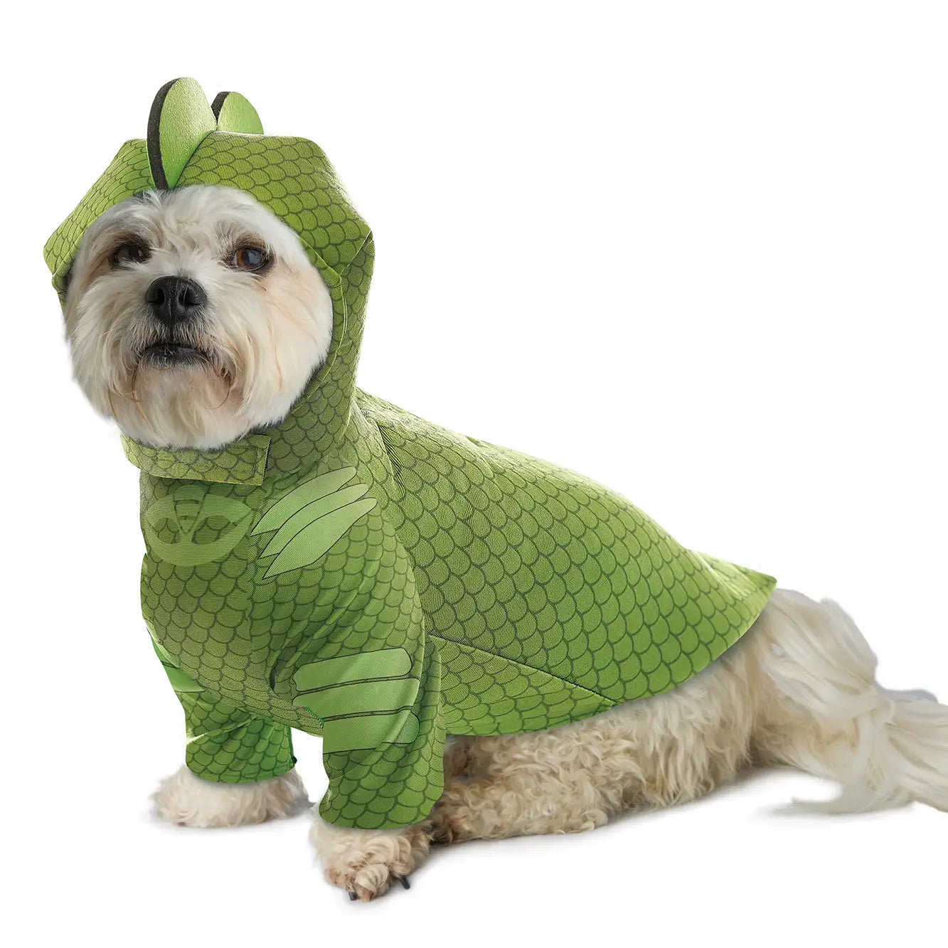 California Costumes - Halloween Costume Gekko