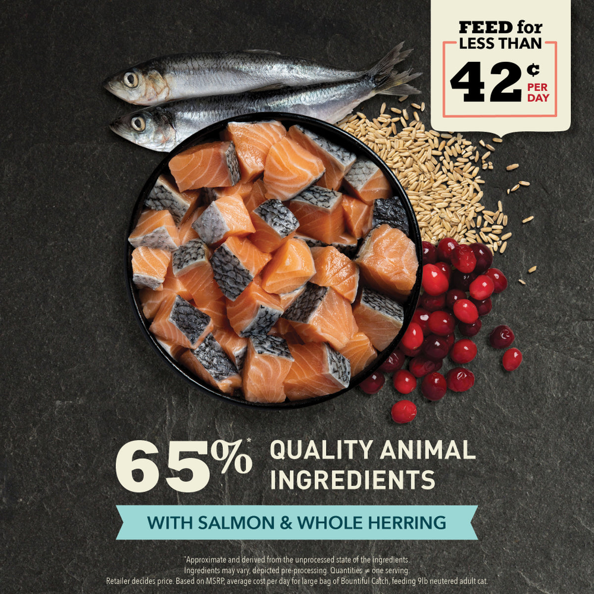 Champion Petfoods Acana - Bountiful Catch Dry Cat Food