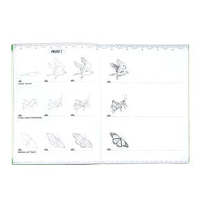eeBoo - Learn to Draw Bugs, Birds & Butterflies