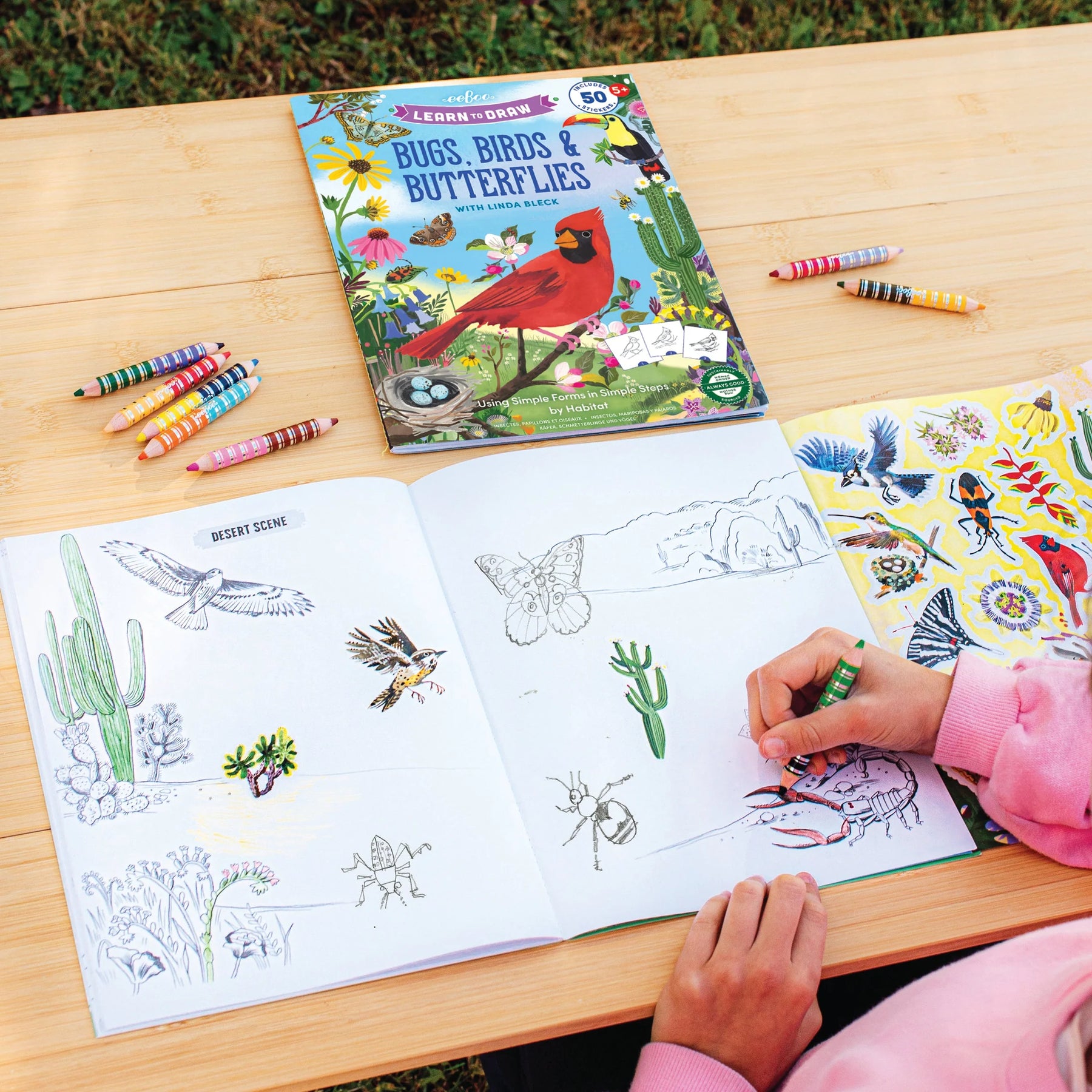 eeBoo - Learn to Draw Bugs, Birds & Butterflies