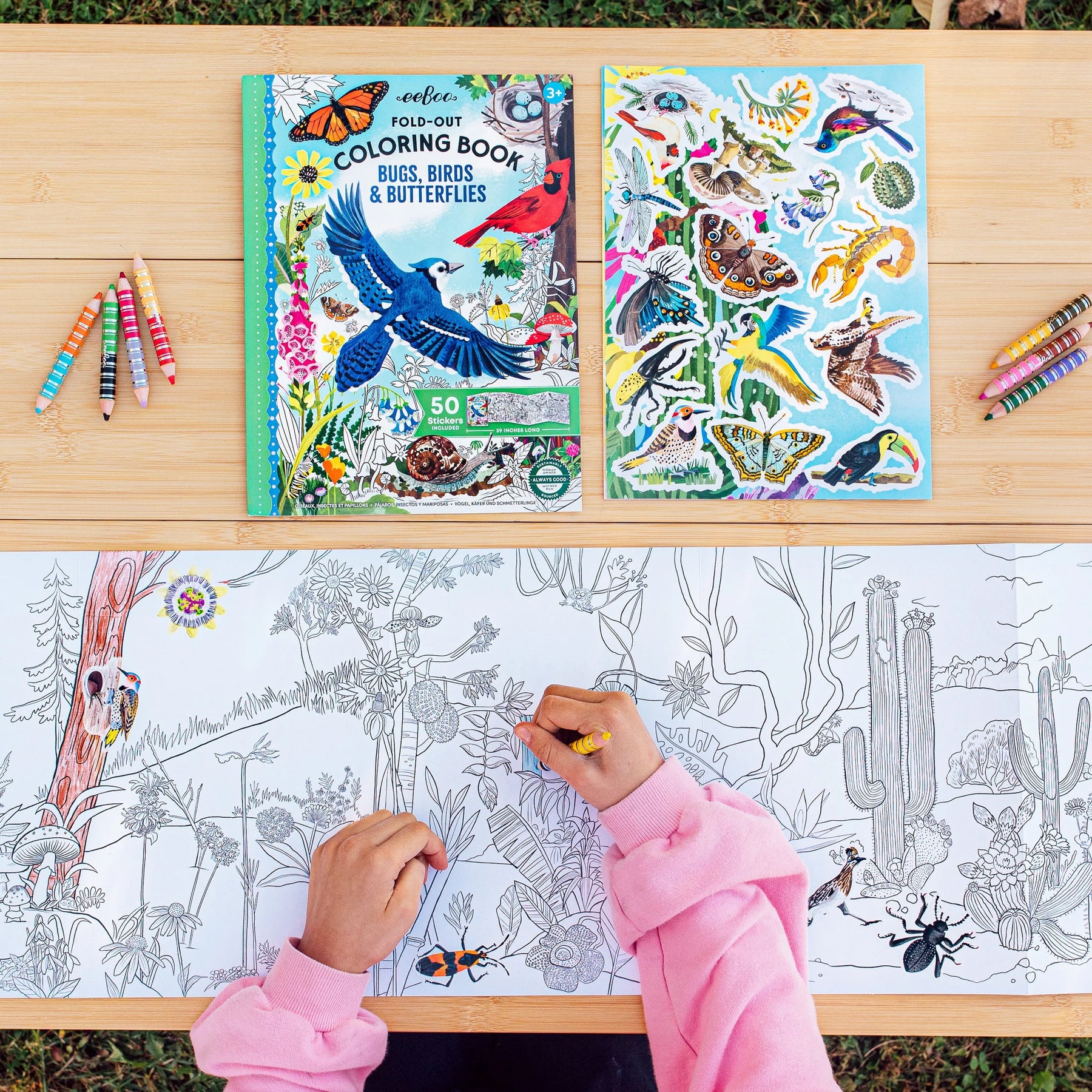 eeBoo - Coloring Book FoldOut - Bugs, Birds, & Butterflies
