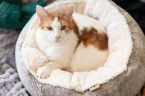 P.L.A.Y Pet Lifestyle And You - Cat Cuddler Round