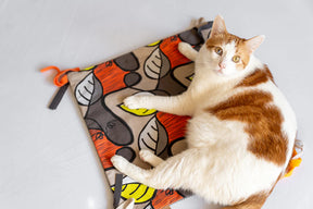 P.L.A.Y Pet Lifestyle And You - Crinkle Catnip Mat La Folie