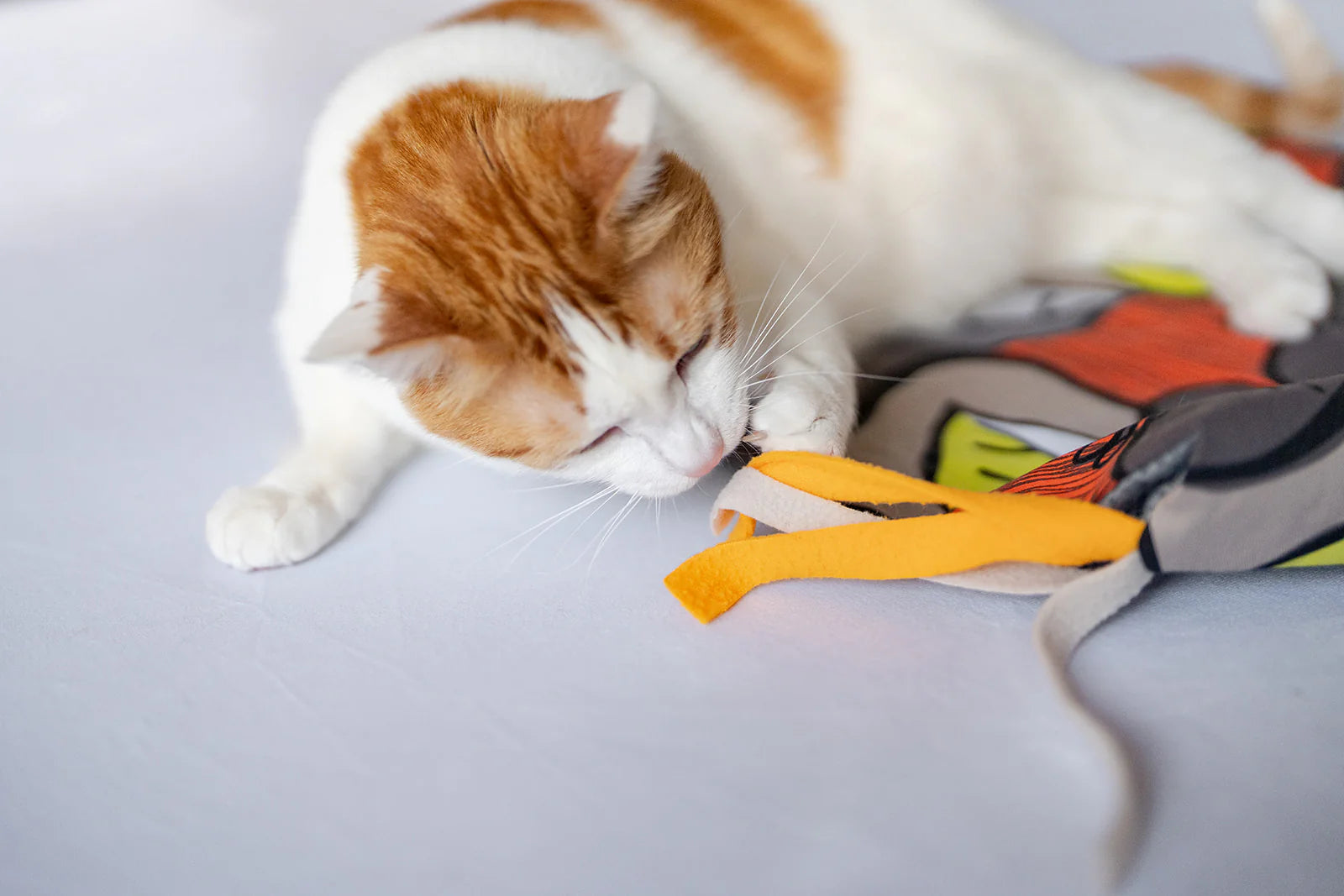 P.L.A.Y Pet Lifestyle And You - Crinkle Catnip Mat La Folie