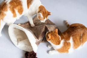 P.L.A.Y Pet Lifestyle And You - Cat Crinkle Sack