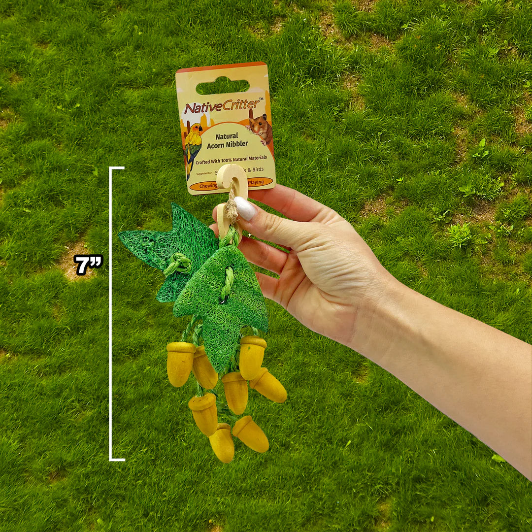 Exotic Nutrition - Acorn Nibbler Chew Toy - Southern Agriculture 