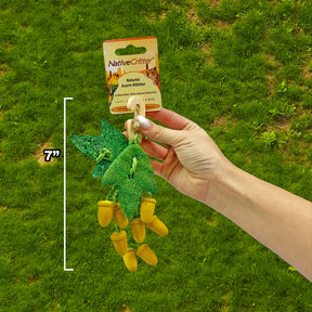 Exotic Nutrition - Acorn Nibbler Chew Toy - Southern Agriculture 