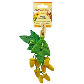 Exotic Nutrition - Acorn Nibbler Chew Toy - Southern Agriculture 