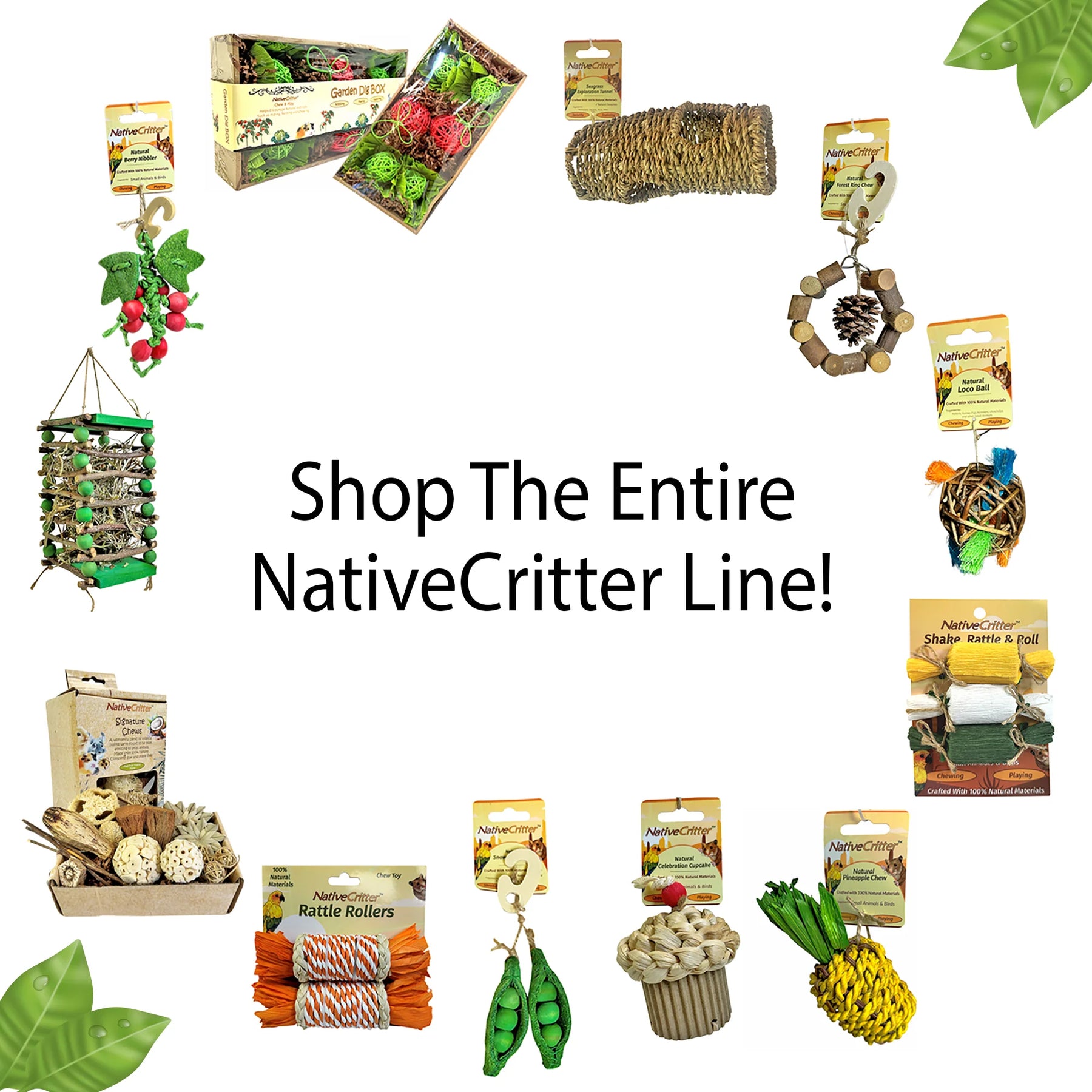 Exotic Nutrition - Acorn Nibbler Chew Toy - Southern Agriculture 