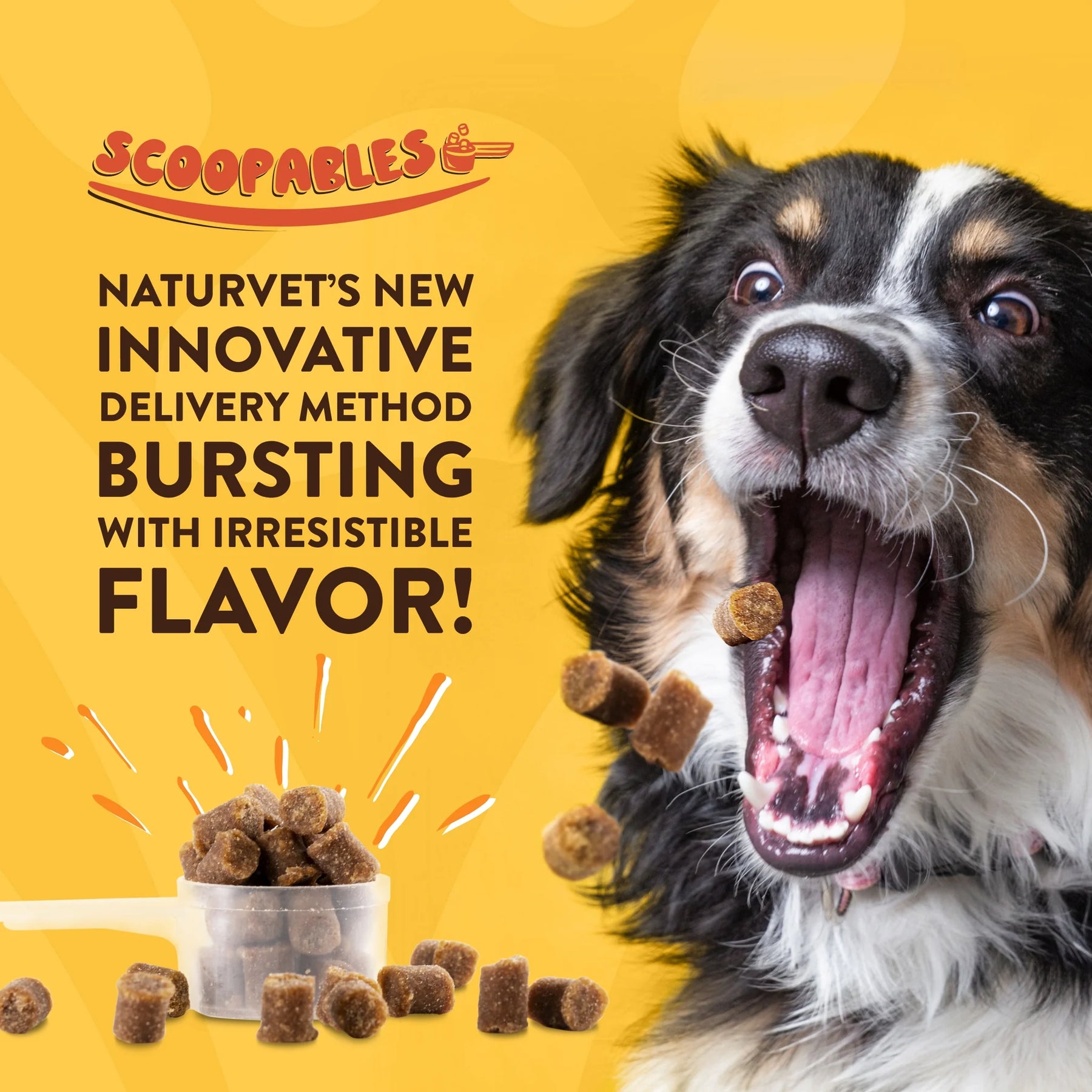NaturVet - Scoopables Omega GoldEssential Fatty Acids/Anchovy Oil/Salmon - Southern Agriculture 