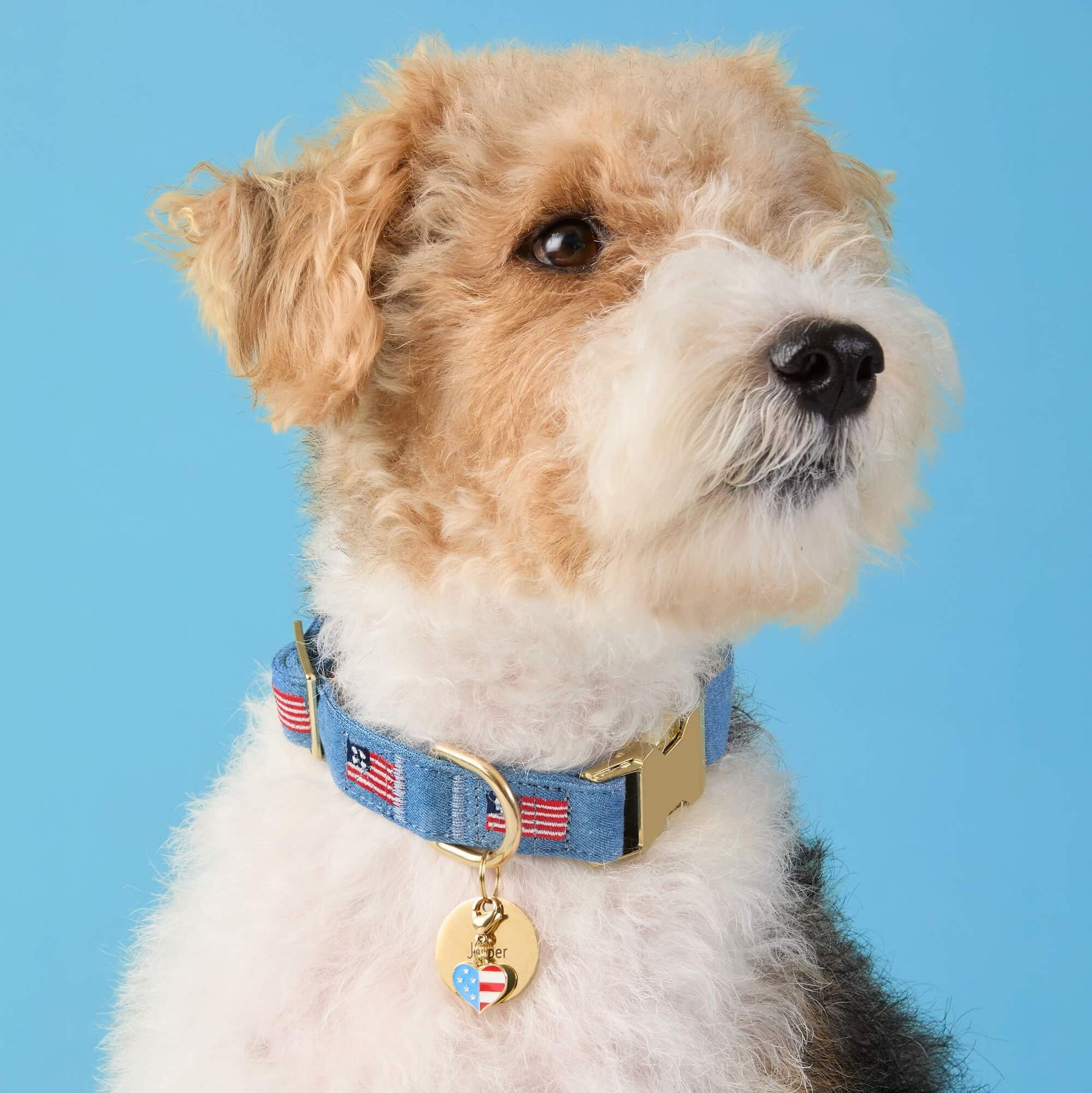 The Foggy Dog - Dog Collar American Flag Embroidered