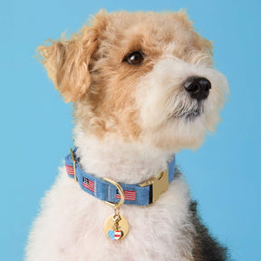 The Foggy Dog - Dog Collar American Flag Embroidered