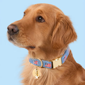 The Foggy Dog - Collar Charm White Star