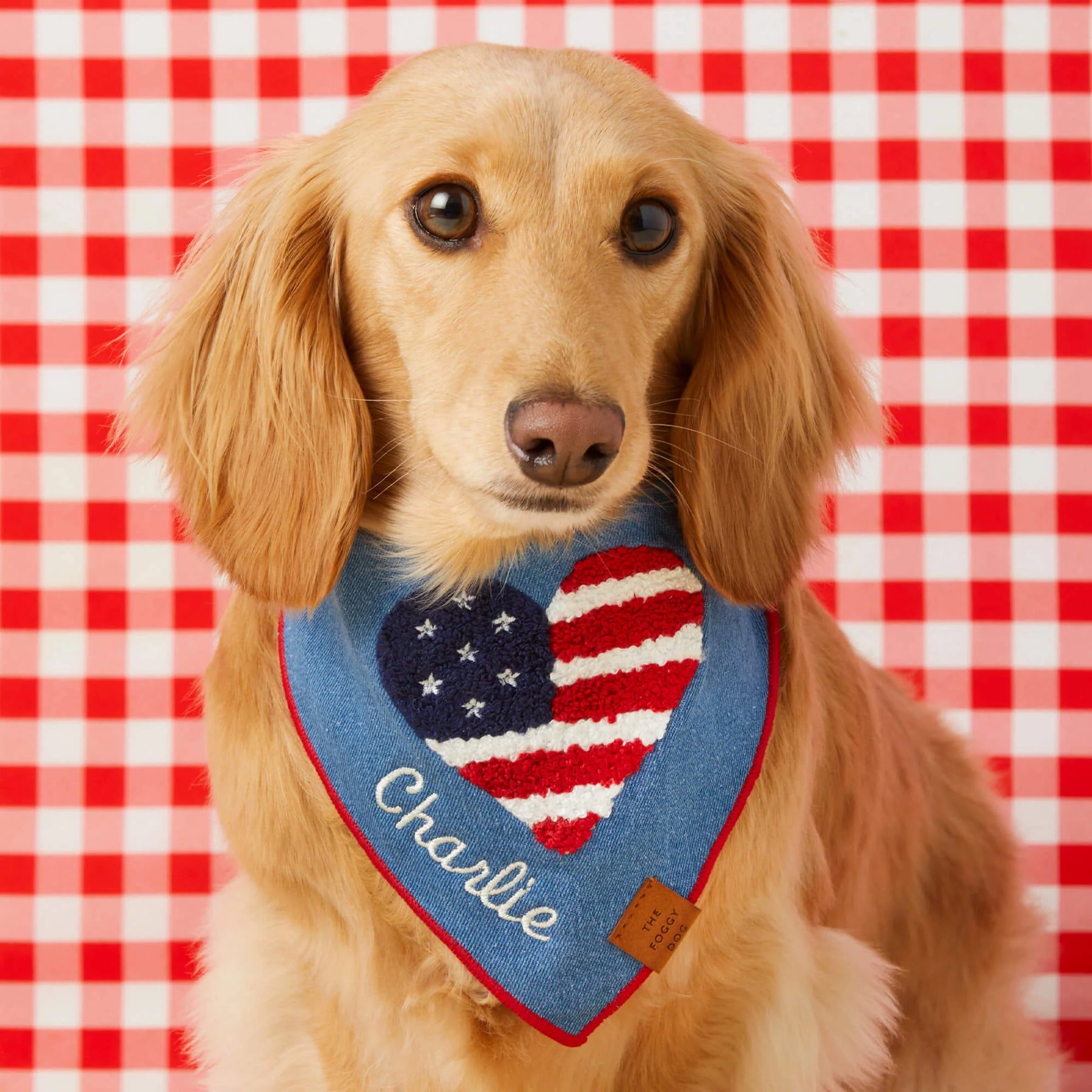 The Foggy Dog - Bandana Dog Americana Applique