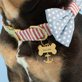 The Foggy Dog - Collar Charm Anchor