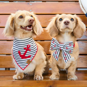 The Foggy Dog - Bow Tie Lady Anchor Embroidered