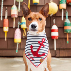 The Foggy Dog - Bandana Dog Anchor Away Applique