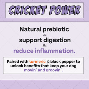 Chippin - Antioxidant (Banana-Cricket-Blueberry) Dog Treat