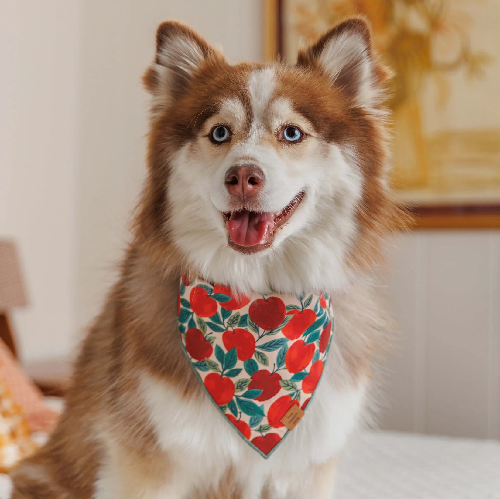 The Foggy Dog - Bandana Dog Apple of My Eye