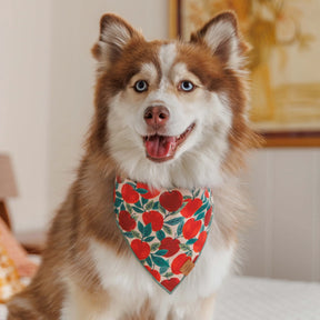 The Foggy Dog - Bandana Dog Apple of My Eye