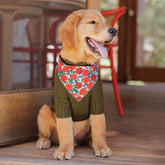 The Foggy Dog - Dog Sweater Cable Knit Olive