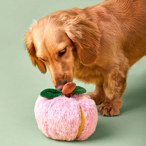 The Foggy Dog - Dog Toy Apple Interactive Snuffle