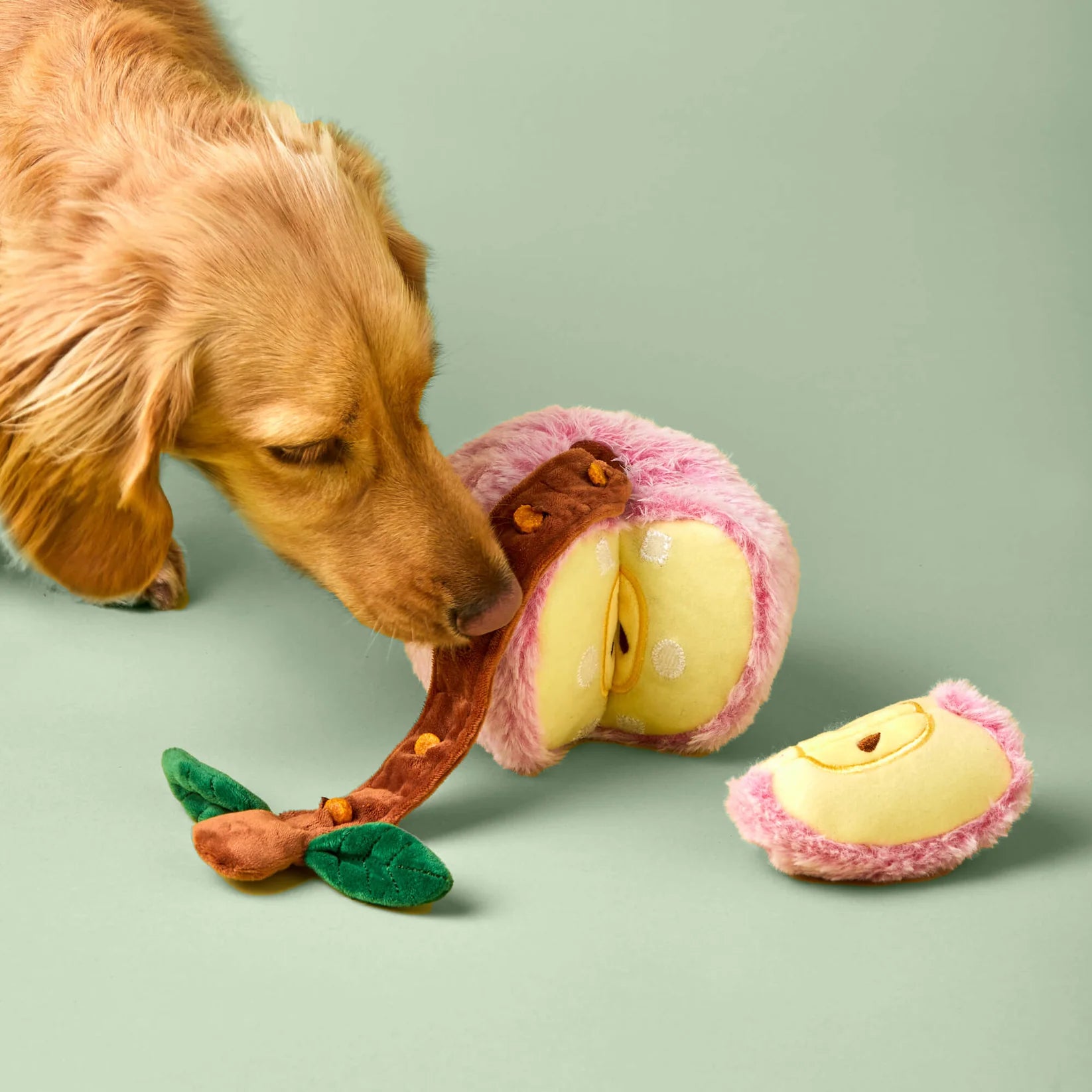 The Foggy Dog - Dog Toy Apple Interactive Snuffle