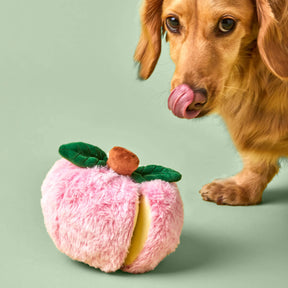 The Foggy Dog - Dog Toy Apple Interactive Snuffle