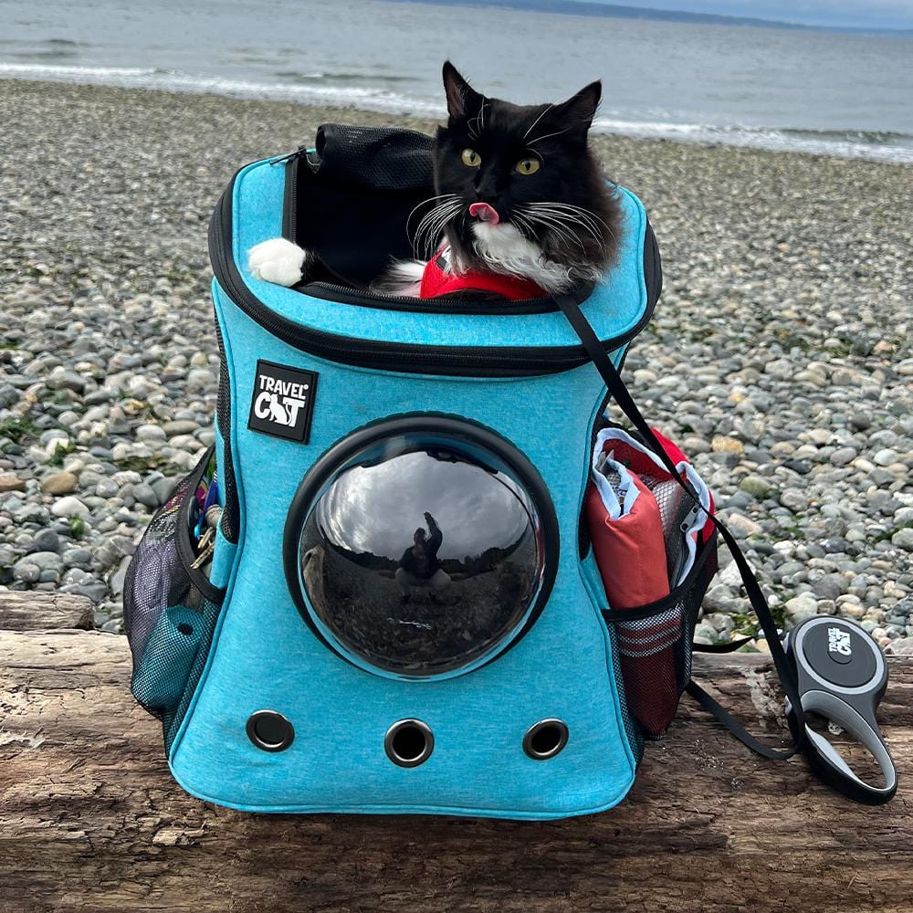 Travel Cat - Large Cat Backpack with Bubble