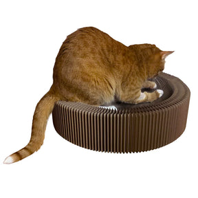 Bed & Scratcher - The Accordion Cat Bed & Scratcher