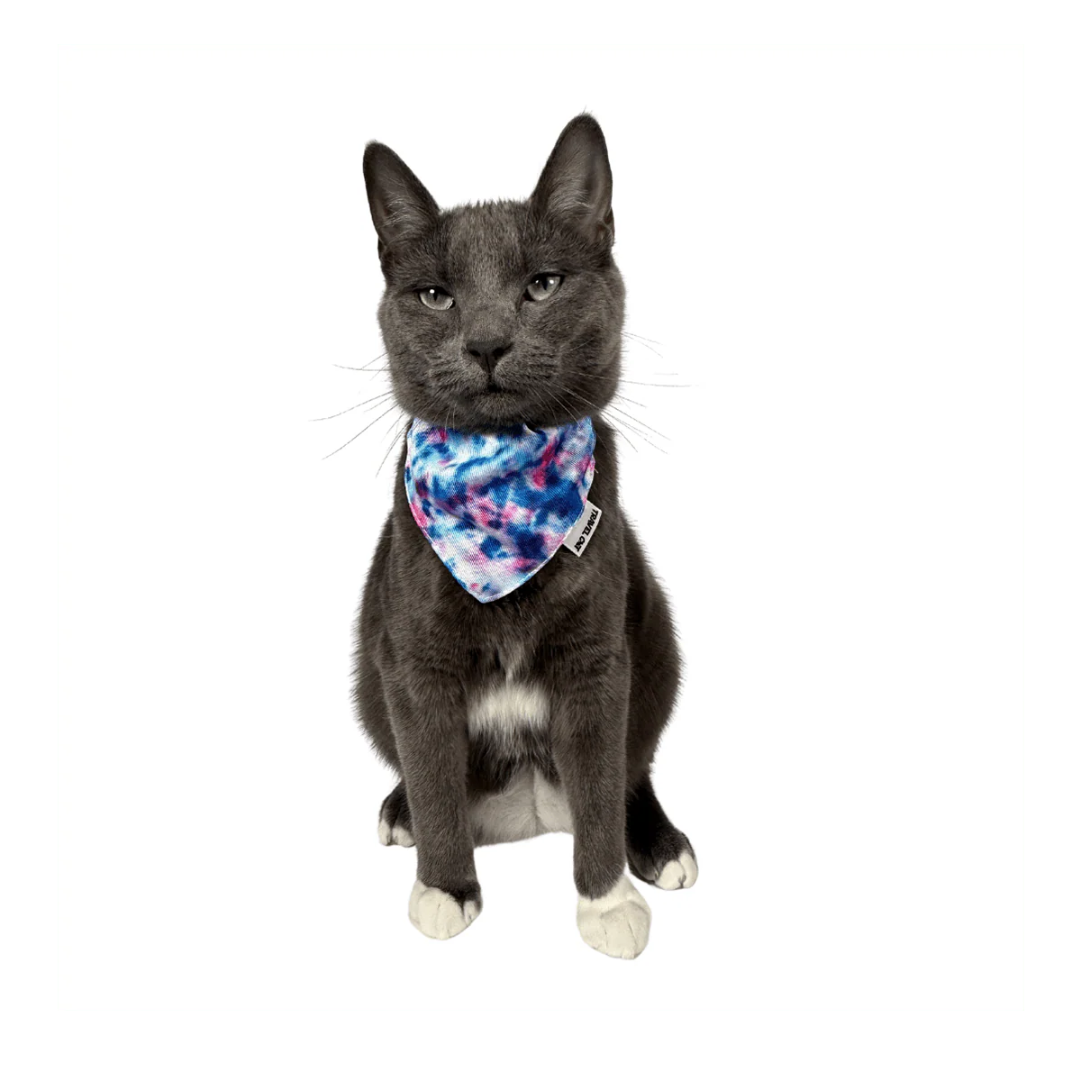 Travel Cat - The Groovy Cat Bandana & Cat Collar
