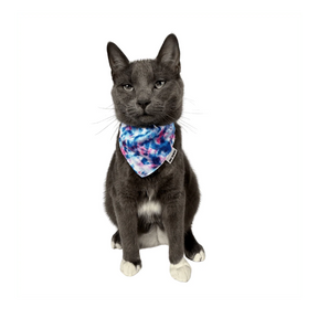 Travel Cat - The Groovy Cat Bandana & Cat Collar