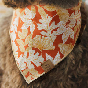 The Foggy Dog - Bandana Dog Autumn Leaves