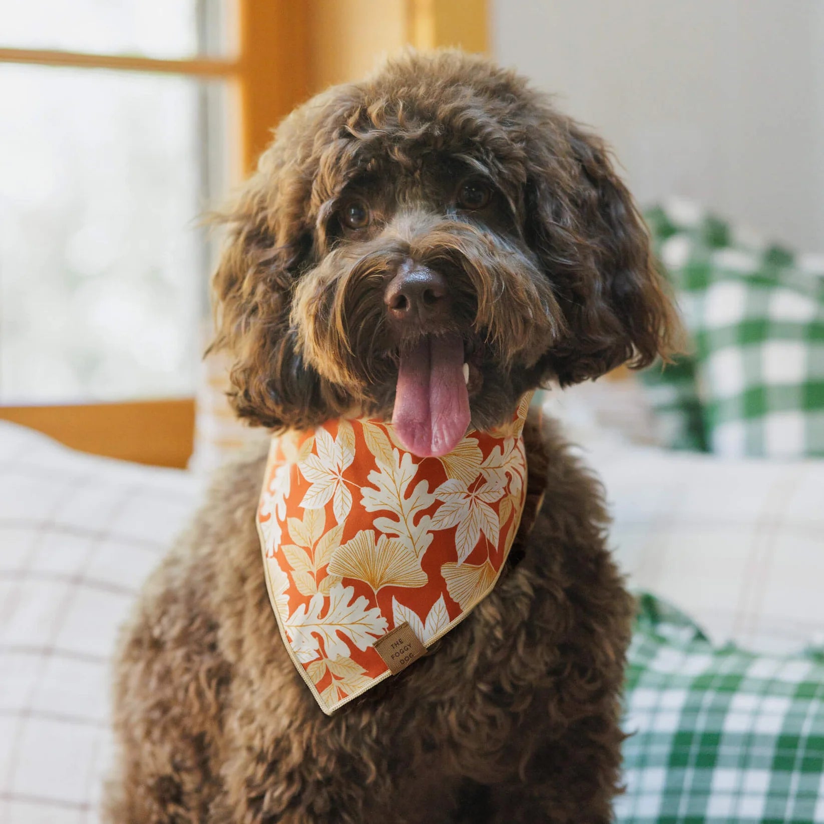 The Foggy Dog - Bandana Dog Autumn Leaves