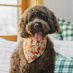 The Foggy Dog - Bandana Dog Autumn Leaves