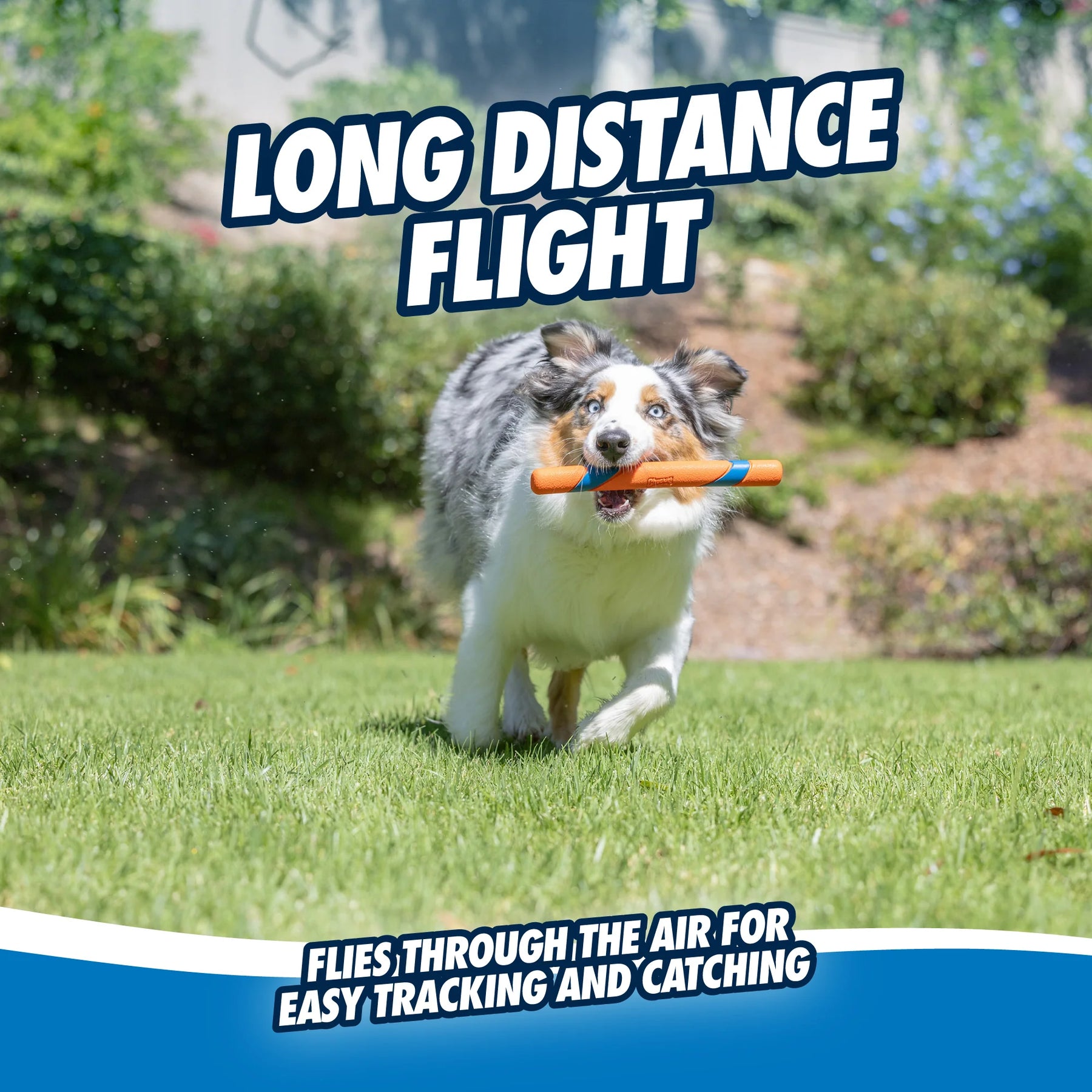 Petmate - Ultra Fetch Stick