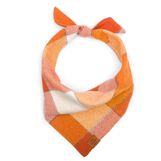 The Foggy Dog - Bandana Dog Pumpkin Spice Flannel Fall