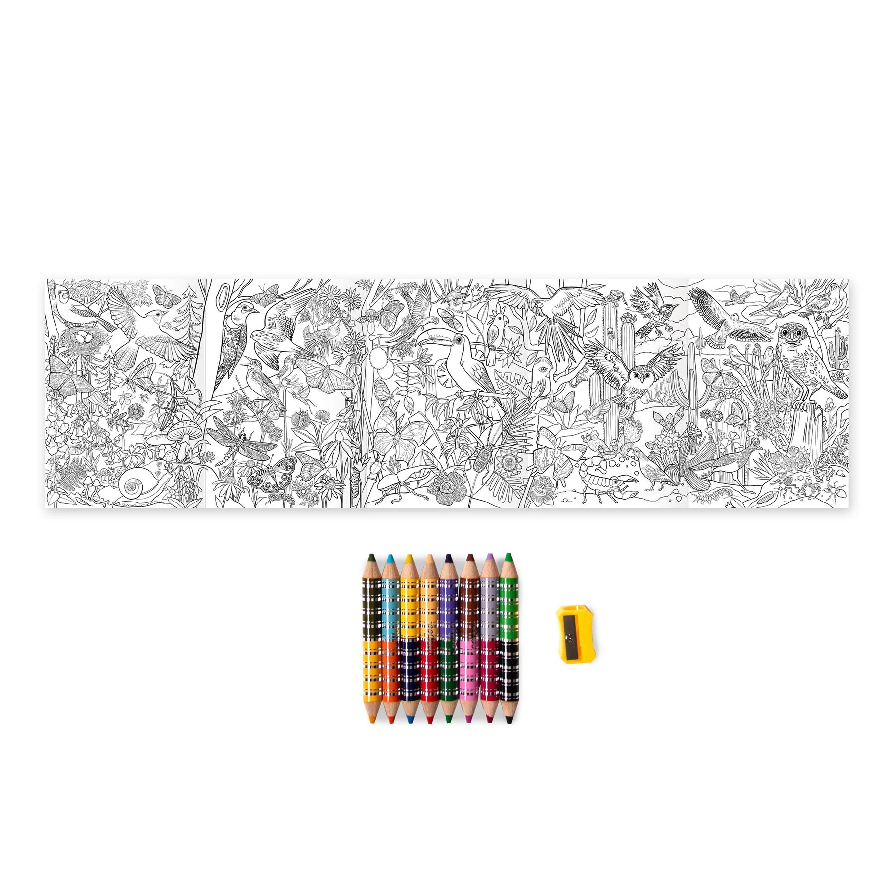 eeBoo - Biggie Pencils with Fold-Out Mini Mural - Bird & Butterfly