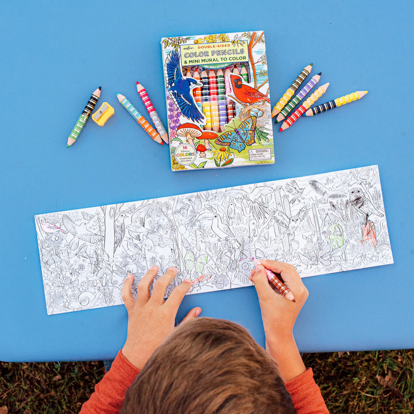eeBoo - Biggie Pencils with Fold-Out Mini Mural - Bird & Butterfly
