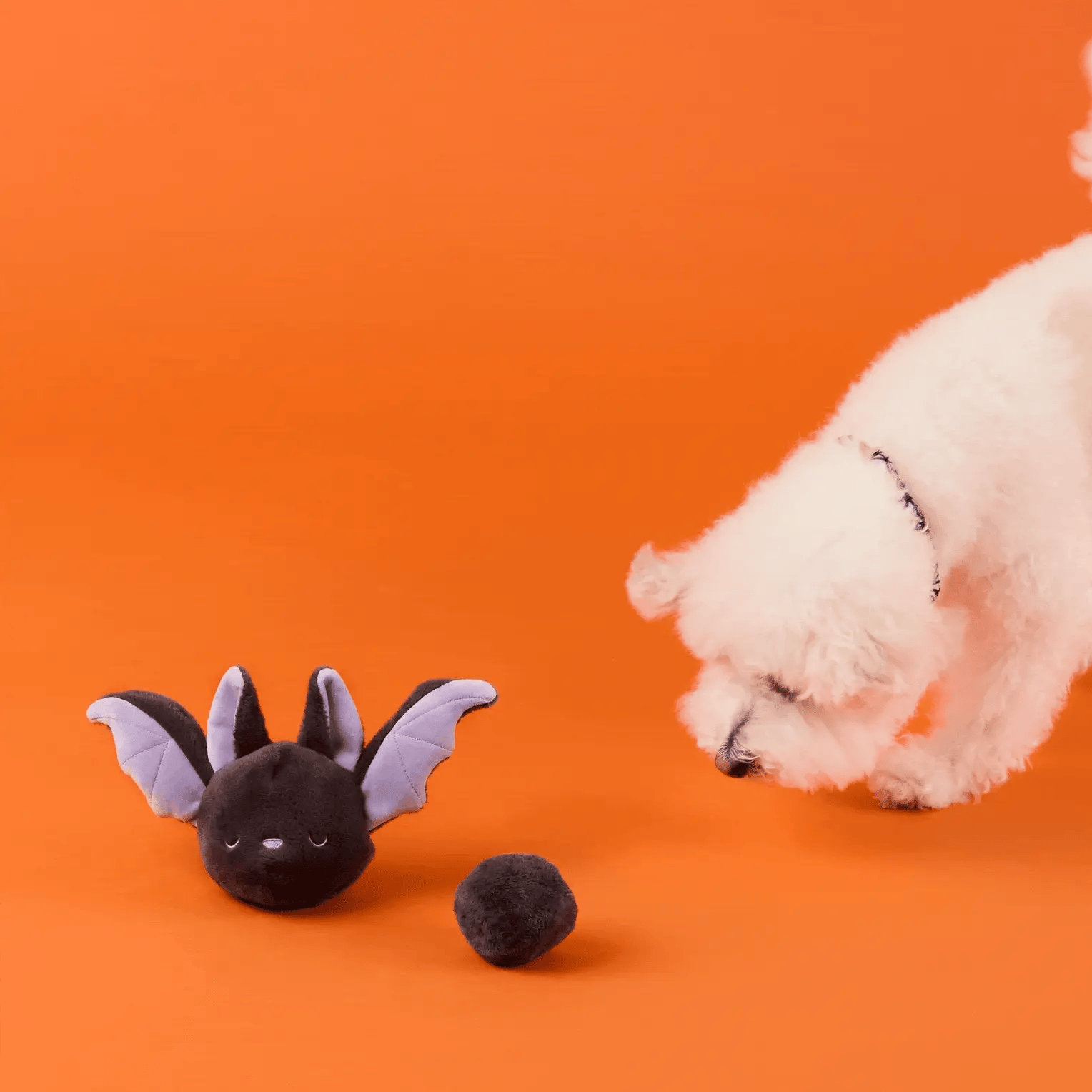 The Foggy Dog - Dog Toy Bat 2-In-1 Bounce