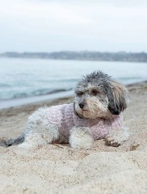 Barefoot Dreams - CozyChic Ribbed Pet Sweater
