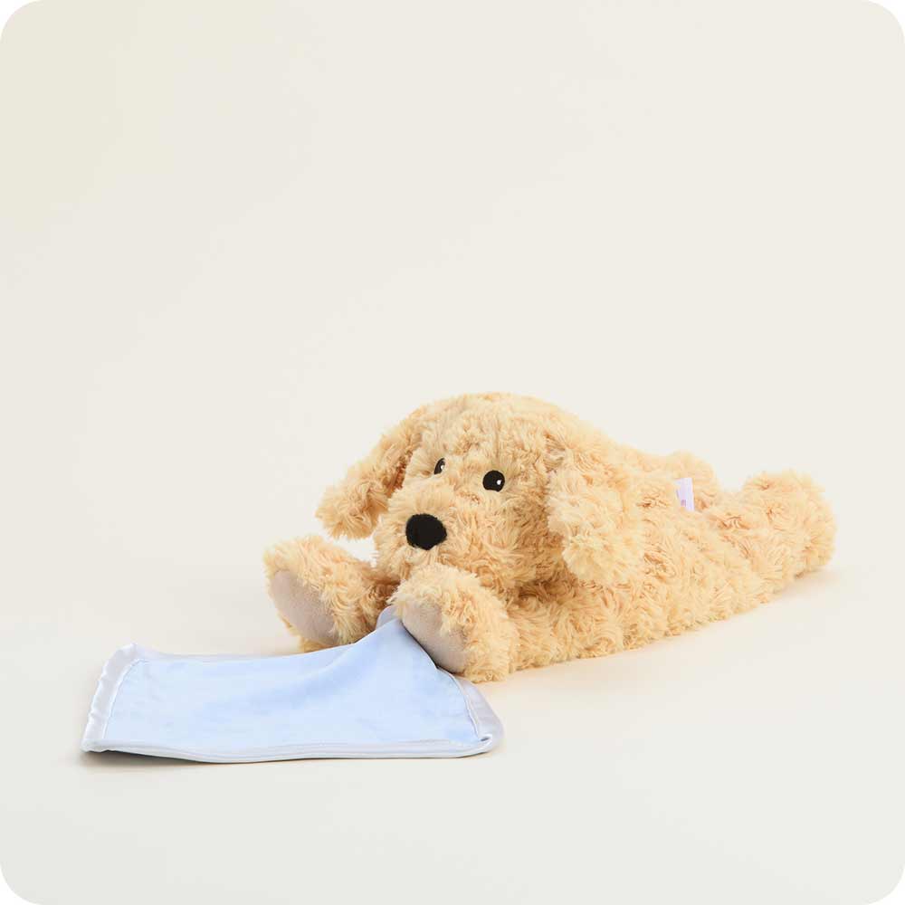 Warmies Blanket Golden Dog