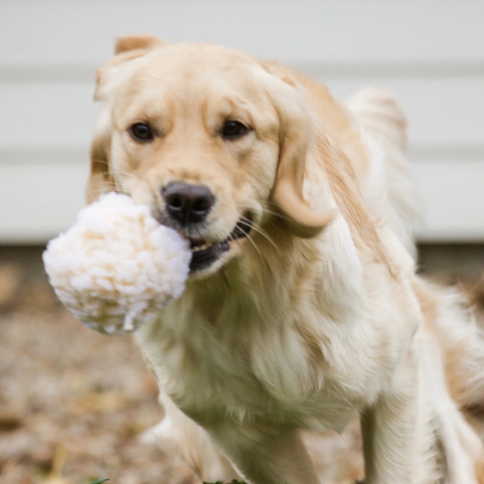 HuggleHounds - HuggleFleece Ball