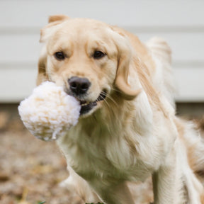 HuggleHounds - HuggleFleece Ball