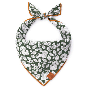 The Foggy Dog - Bandana Dog Squirrel Fall