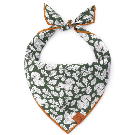 The Foggy Dog - Bandana Dog Squirrel Fall